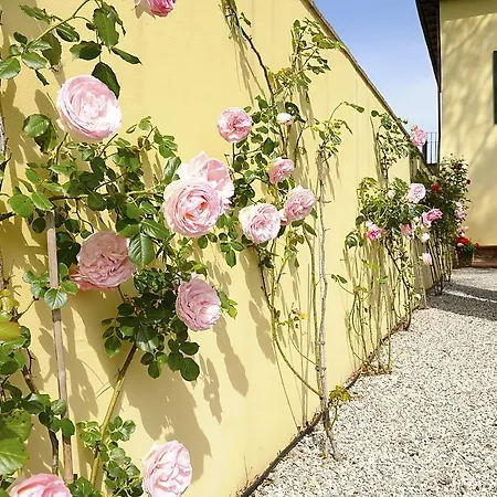 Giustiniani Guest house *